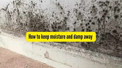 How to keep moisture and damp away from your walls and almirah |
