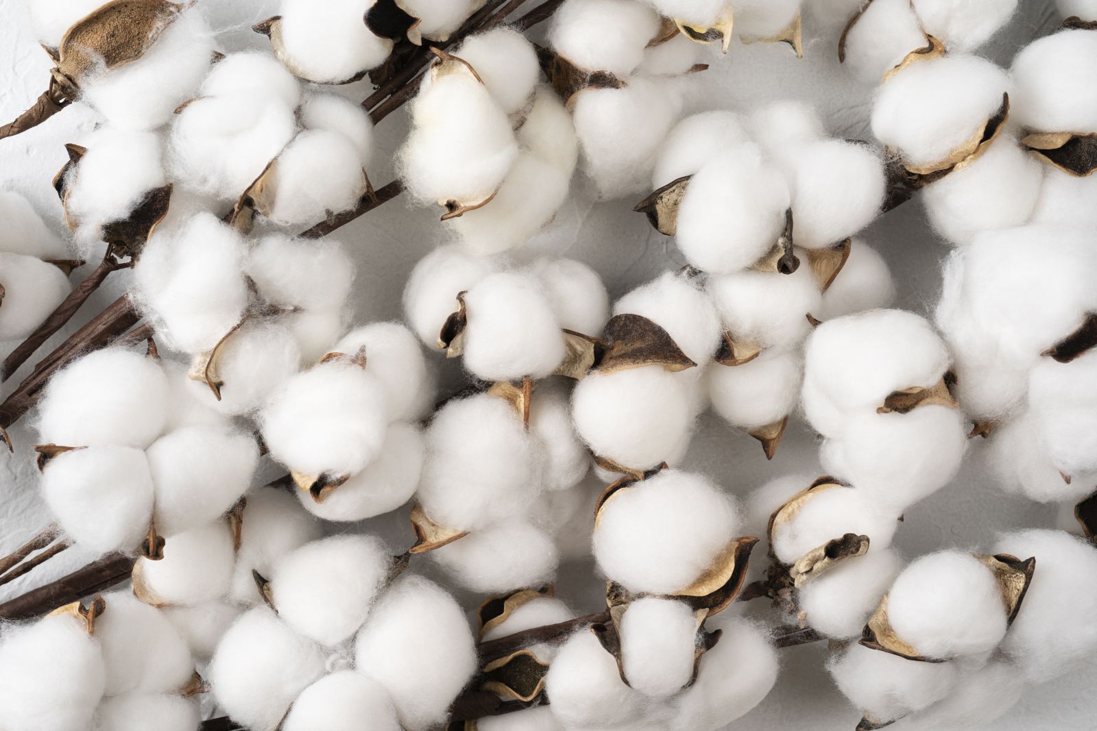 Cotton Slipping on Friday | Nasdaq