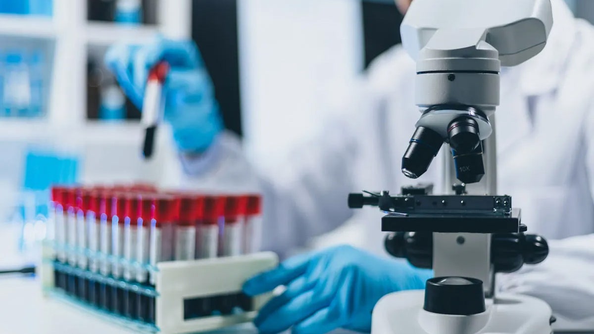 Vitamin A byproduct weakens immune system against cancer, study finds