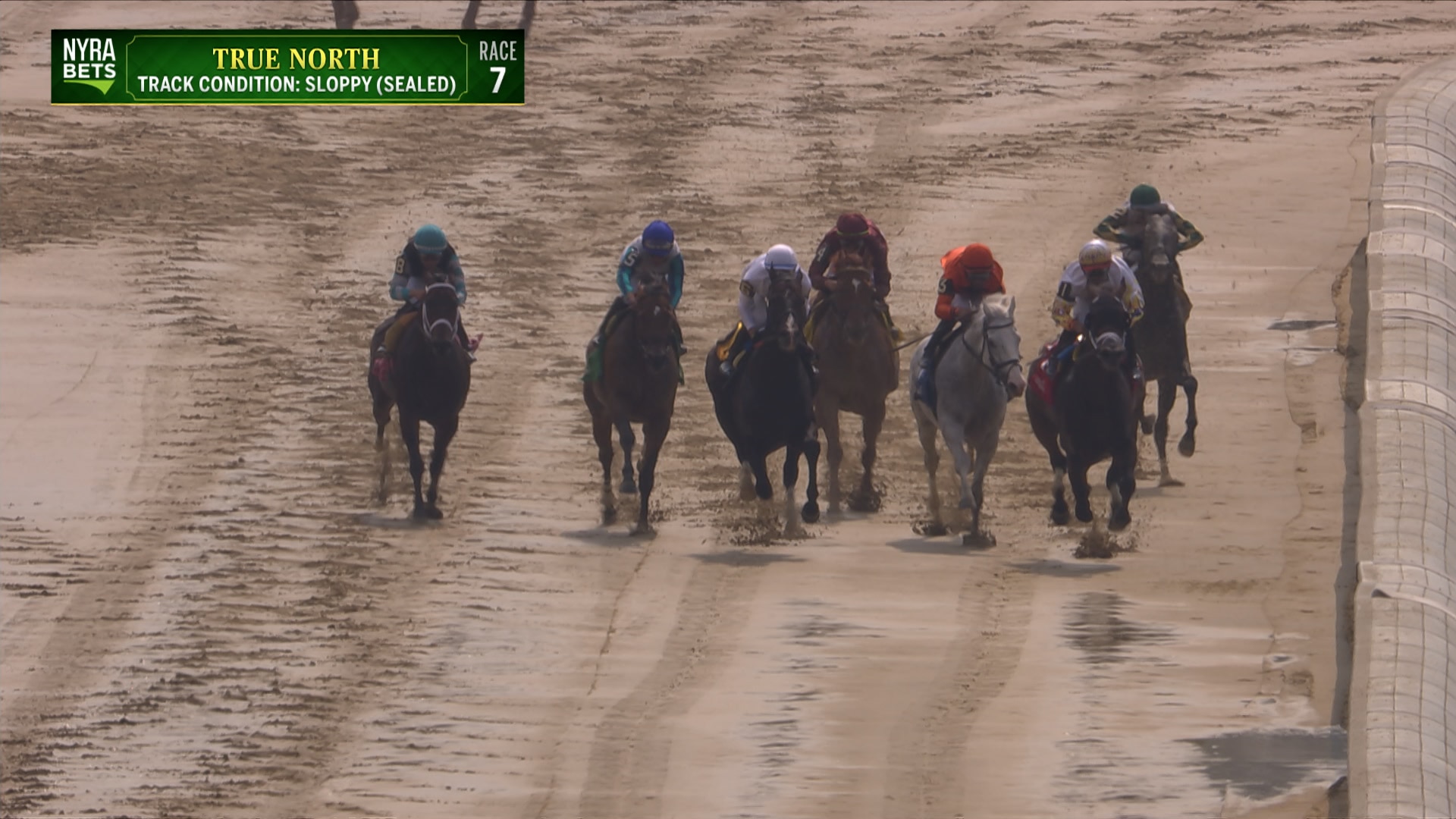 Book'em Danno wins 2025 True North Stakes