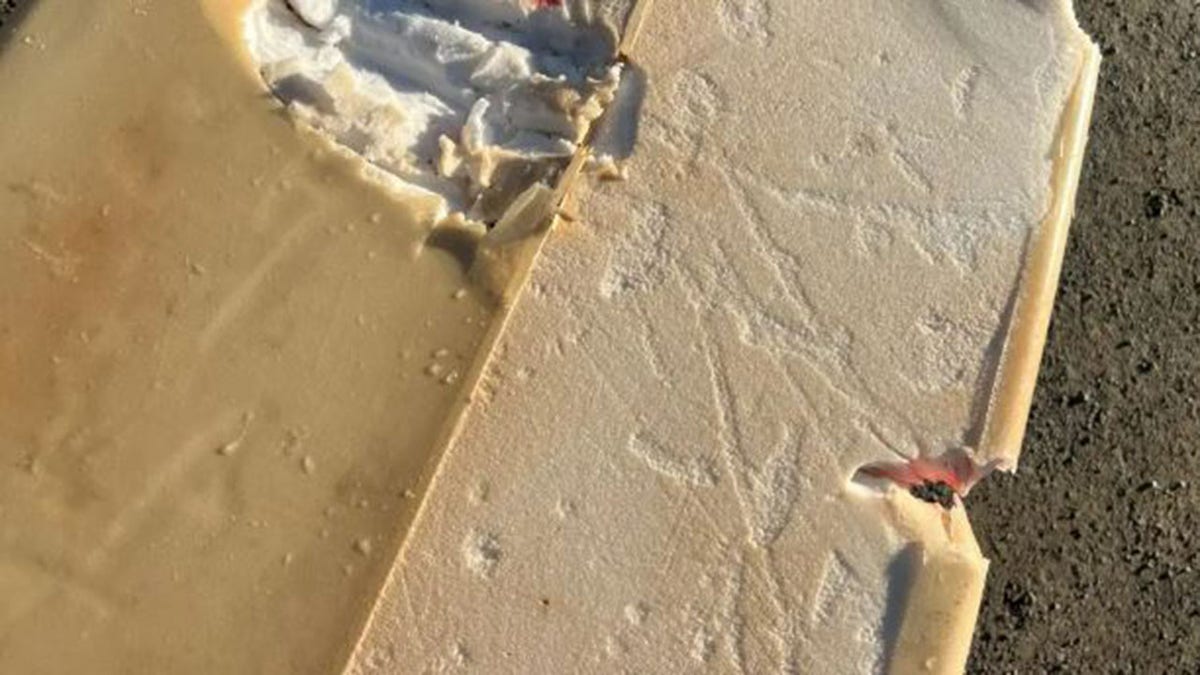 Surfer bitten, board snapped by shark off Northern California: reports