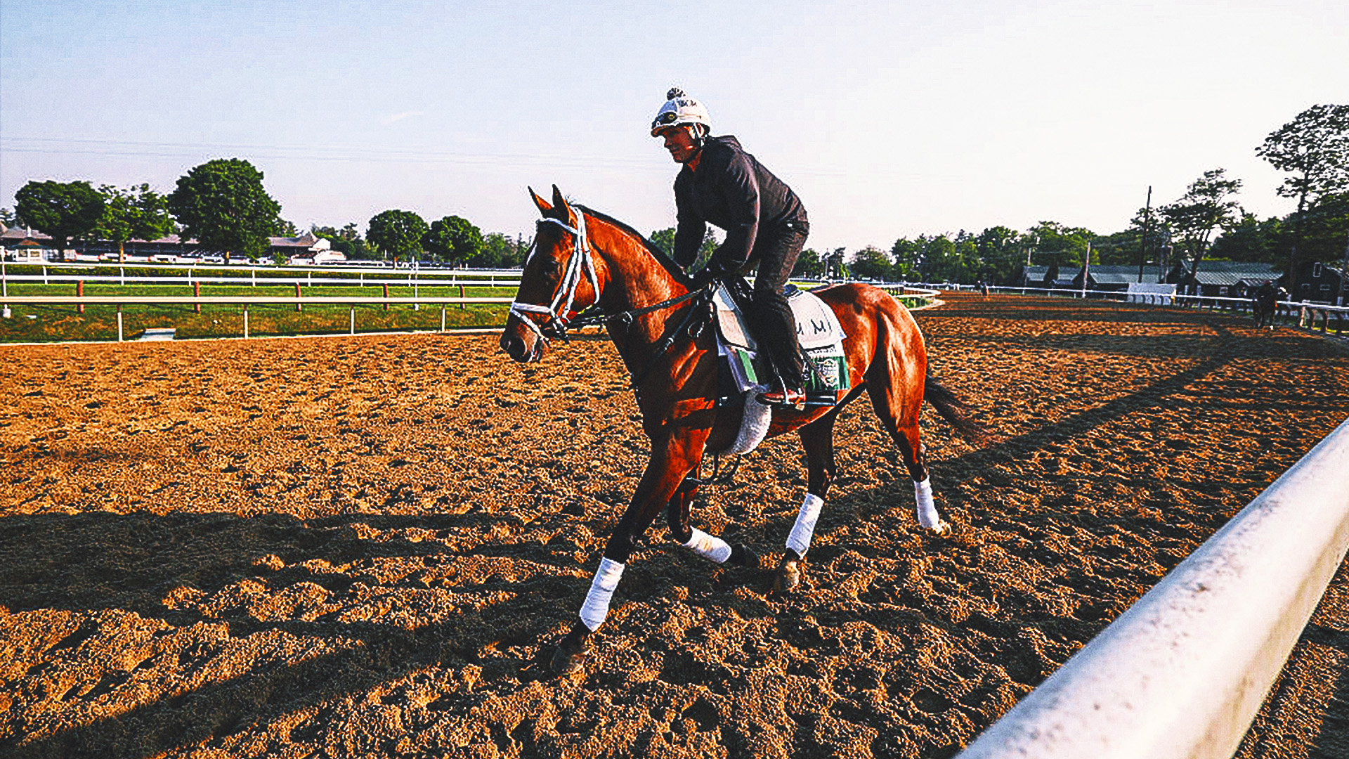 Sovereignty, Journalism, Baeza are ‘top tier’ in crop of Belmont Stakes horses