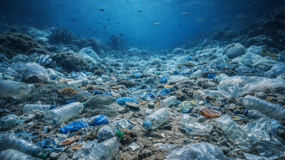 The ocean floor is turning into the world’s biggest plastic dump site killing hundreds of underwater species |