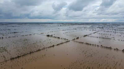 The return of Pa’ashi as Tulare Lake floods California farmland again after 130 years | World News