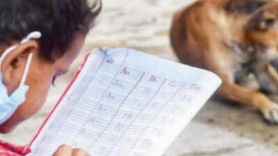 Who guards the school gate? The stray-dog row that put teachers on the hook; here’s why they’re pushing back