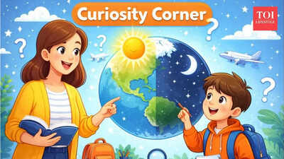 Curiosity Corner: Where are some places on Earth where the sun never rises or sets |