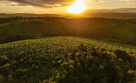 Welcome to the ‘agrihood’ – the neighbourhood of the future?