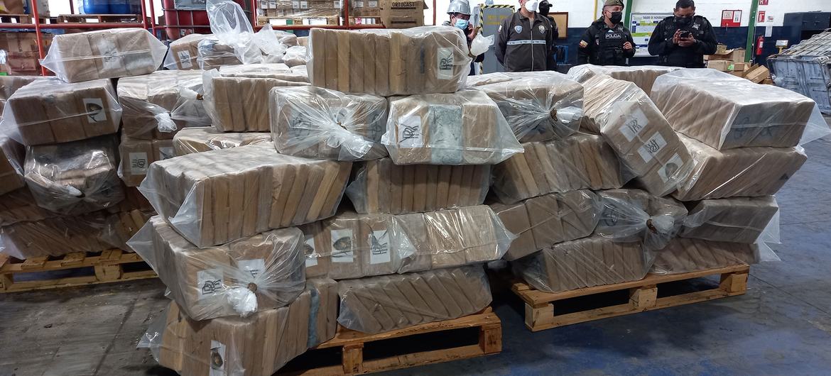 UN drug alert stops shipment that could have made 1.6 billion lethal fentanyl doses