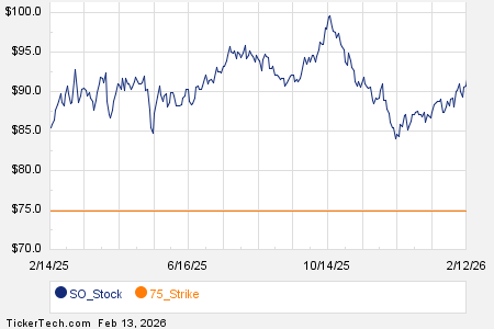 Noteworthy Friday Option Activity: SO, STZ, V