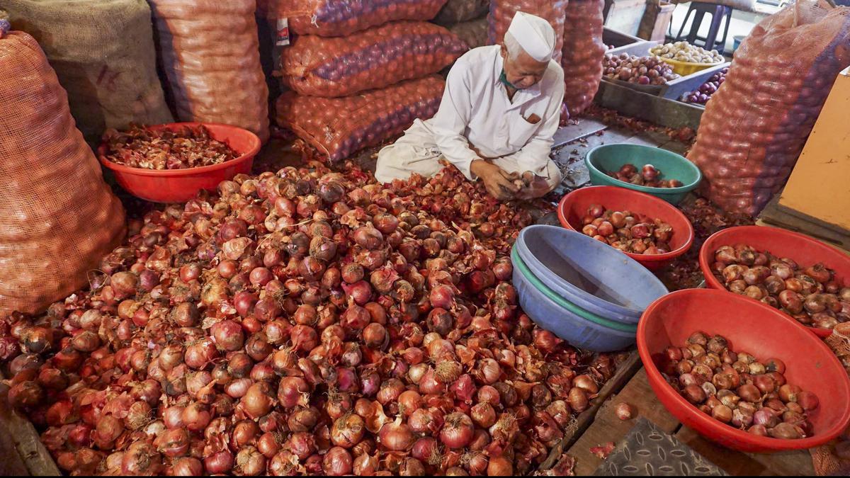 (embargoed till midnight) Onion traders cry foul over underpriced exports to UAE