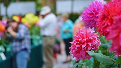 Noida Flower Festival 2026 is back with floral displays and free entry: What visitors need to know |