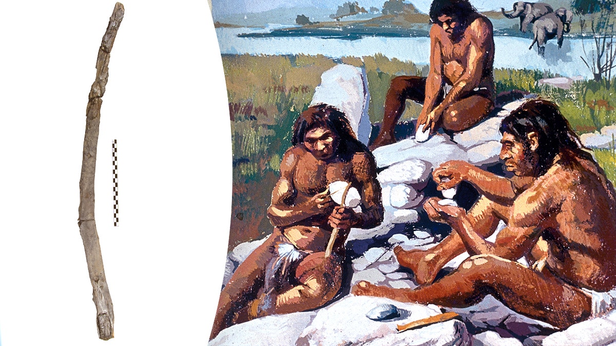 Archaeologists find oldest wooden tools in Greece believed to be 430,000 years old