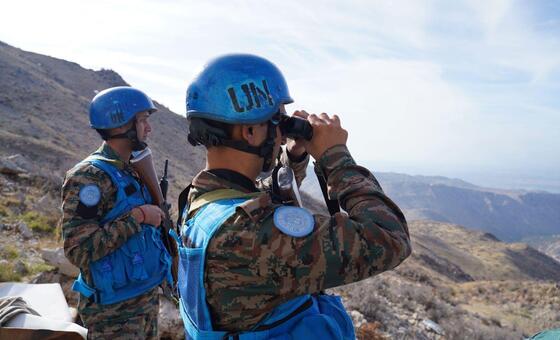 UN peacekeeping patrols suspended along Lebanon-Israel Blue Line