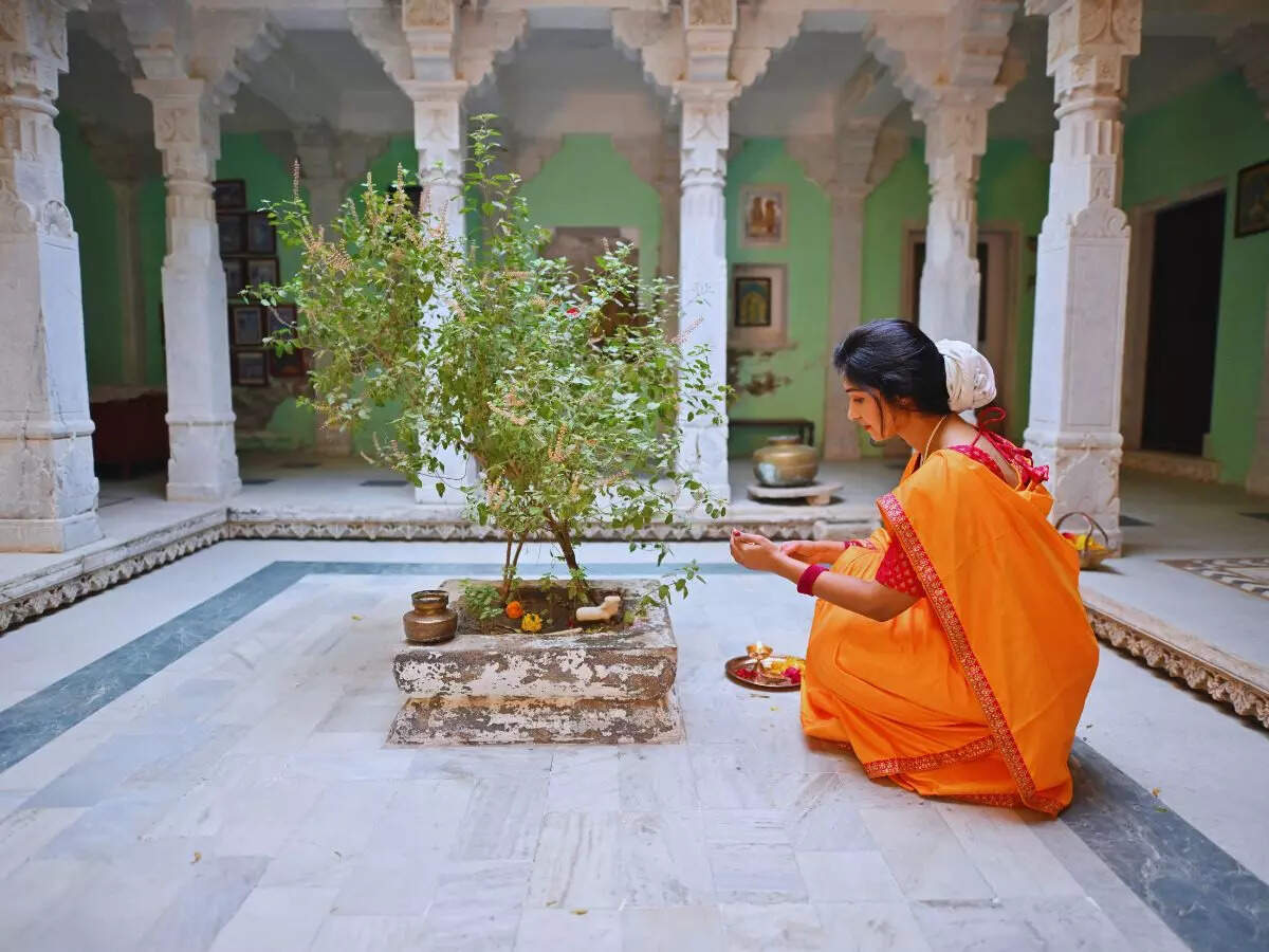 5 Vastu-approved plants you should bring home today for prosperity