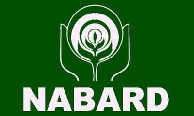 NABARD Grade A Mains result 2026 released: Check direct link to download, next steps for qualified candidates |