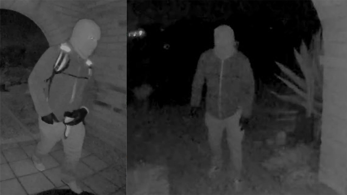 Savannah Guthrie’s mother Nancy may have been abducted by multiple suspects