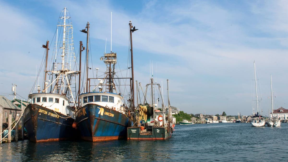 Trump reopens New England protected waters to commercial fishing industry