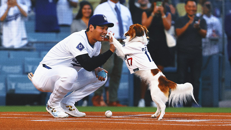 Dodgers Superstar Shohei Ohtani Writes Children’s Book About His Dog Decoy