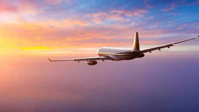 Up to 2-year no-fly ban proposed in DGCA draft: What travellers should know about where to file an appeal and next steps |