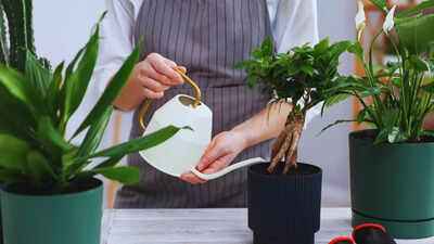 5 brilliant uses of old, broken pans and cookware |