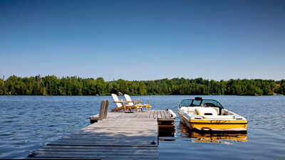 Scientist in America are electrocuting lakes and the reason is alarming |