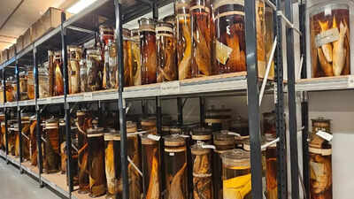 Scientists finally reveal what’s inside Charles Darwin’s 200-year-old jars |