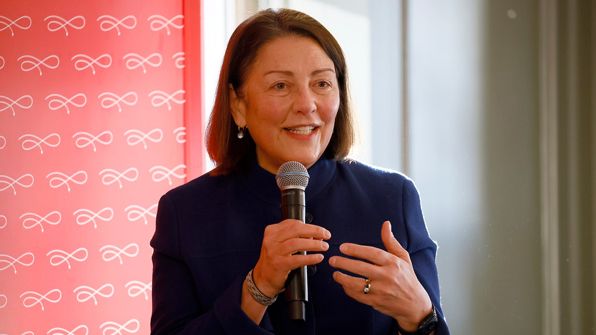 Democrats name candidates to ‘Red to Blue’ initiative in quest to flip House