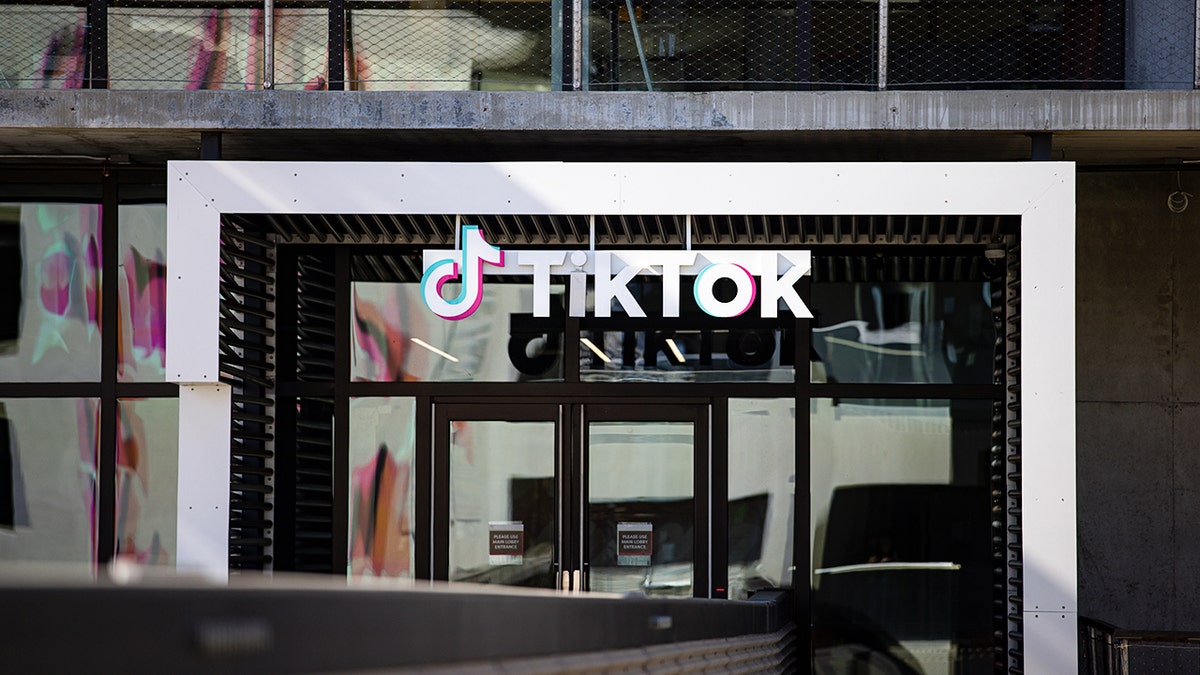 TikTok U.S. ownership change privacy settings guide for users and families
