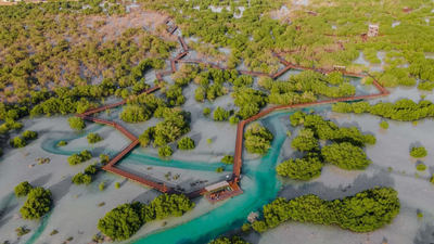UAE: Abu Dhabi launches ‘World’s Richest Seas’ initiative to increase fish density by 2030 | World News