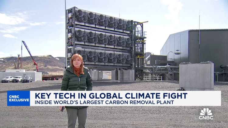 Big Tech looks to carbon credits amid AI race; Microsoft leads