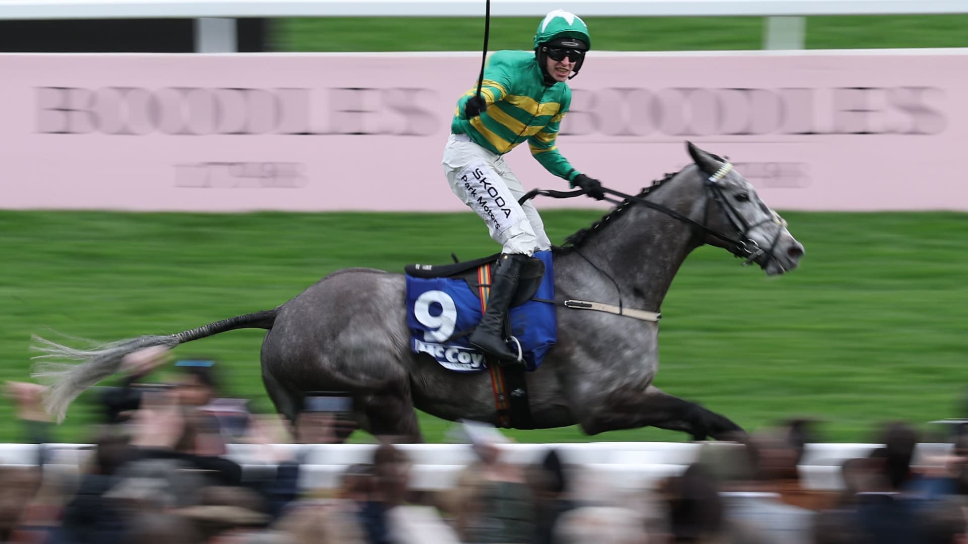 Cheltenham Festival horse racing in crisis Charles Allen resigns