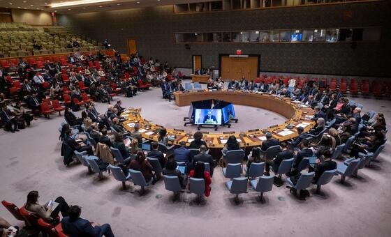 Gaza: Commitment to US-backed plan crucial to recovery, Security Council hears