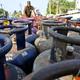 Reliance Industries seeking to maximise LPG output, divert natural gas to support priority sectors