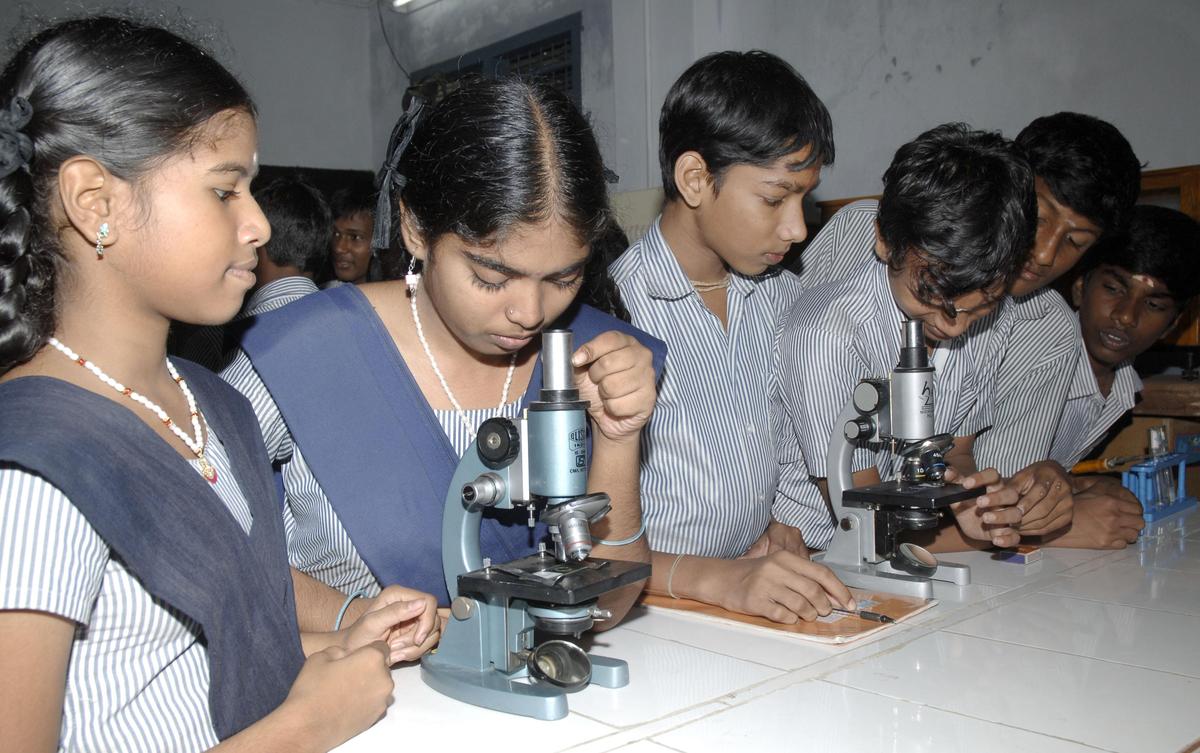 National Science Day | What do scientists do? 