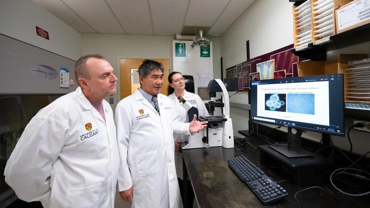 Common vitamin may slow glioblastoma progression in patients, early study finds