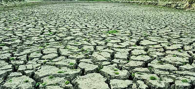 El Nino Effects: El Nino may hit India’s monsoon, hotter months ahead, says WMO | India News