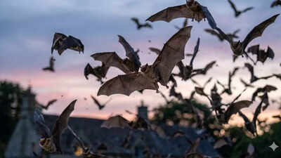 Ever wondered why bats keep returning to your garden after dark; here’s the surprising secret they hold |
