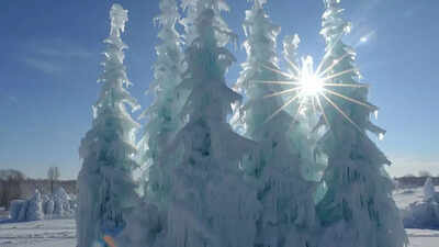 Japan’s ‘snow monsters’: The frozen giants of Zao that only appear for weeks and locals say they’re slowly disappearing | World News