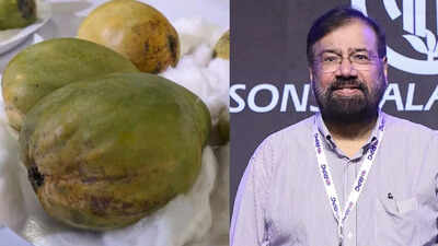 Kohitur Mango: The rare and expensive Indian fruit that even billionaire Harsh Goenka says he “can’t afford” |