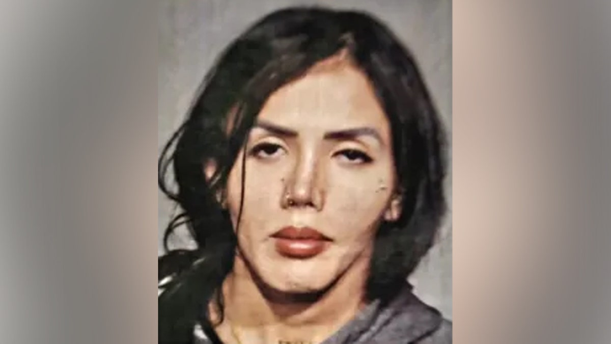 DHS slams Manhattan DA’s plea deal for illegal alien in child rape case