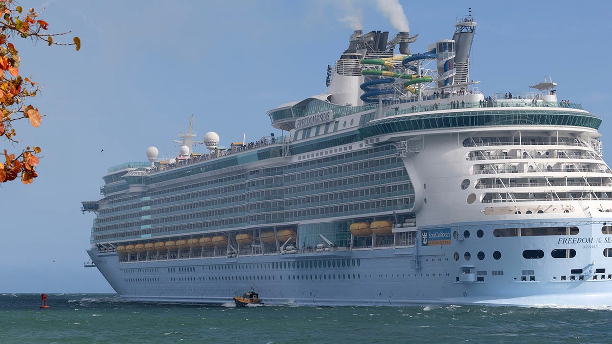 Major cruise line scraps 20 Freedom of the Seas voyages, upending traveler vacations