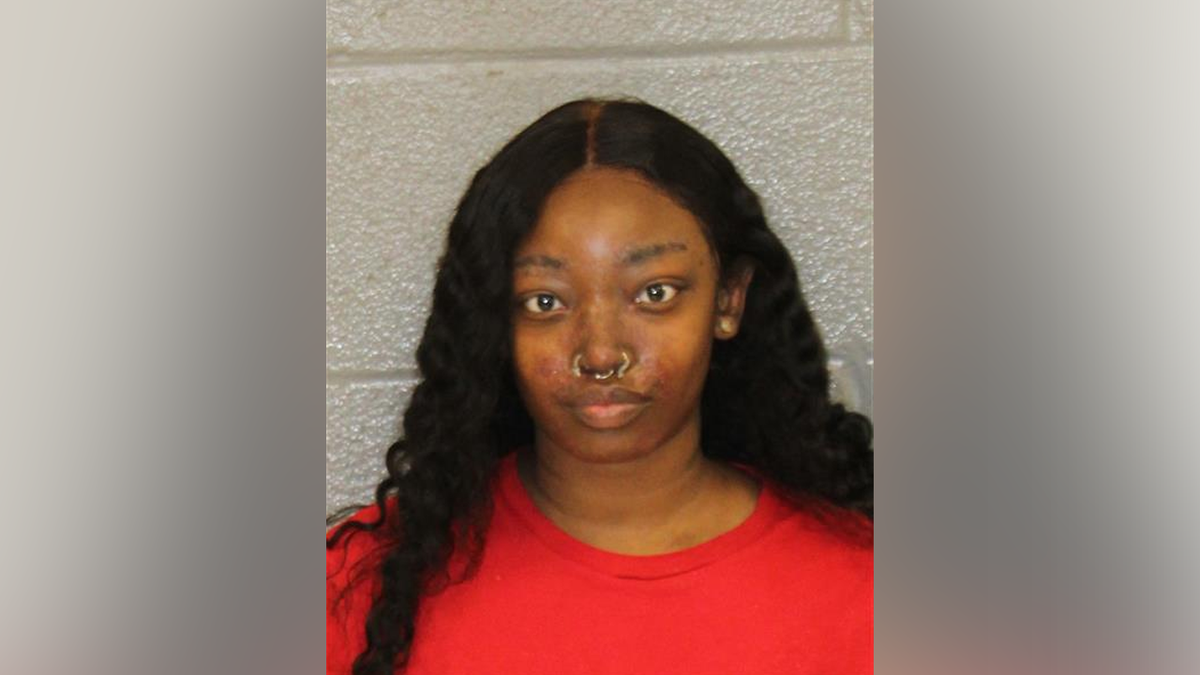 Charlotte woman accused of hitting police officer released on ,000 bond