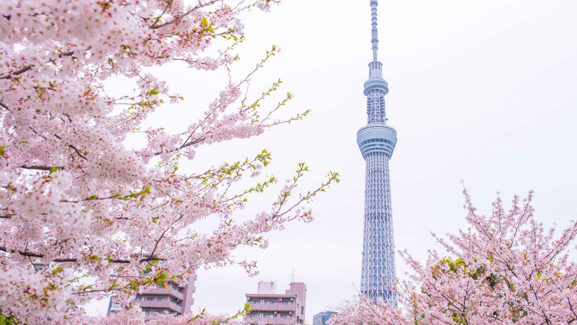 Asia-Pacific markets mostly rise in Easter trade on hopes for Hormuz reopening