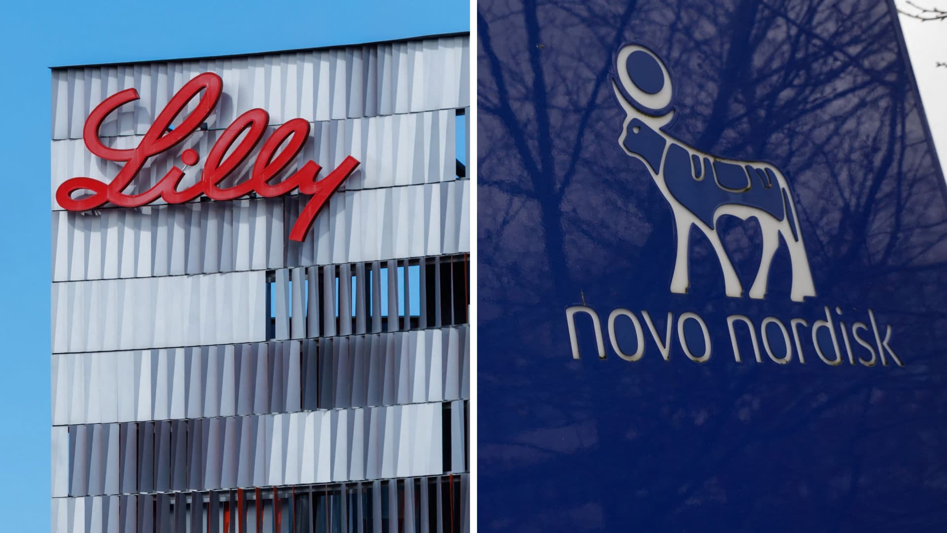Eli Lilly market share drops, Novo Nordisk holds firm as generic weight-loss drugs flood India