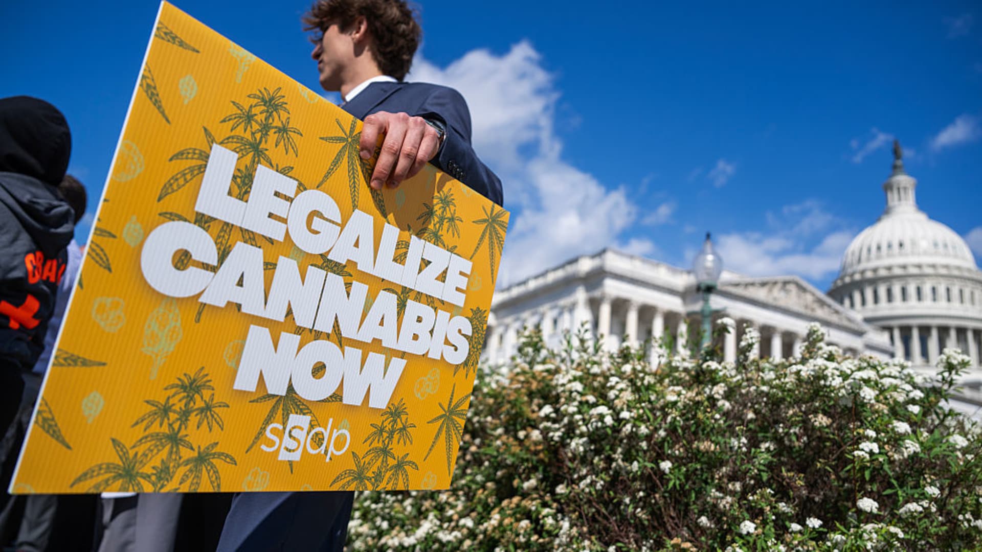 Trump psychedelics executive order and what it means for cannabis