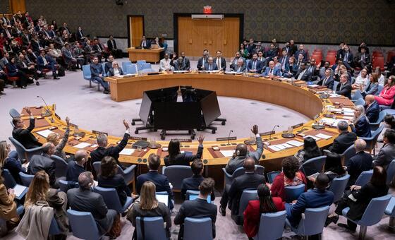 Security Council: Russia and China veto resolution on Strait of Hormuz