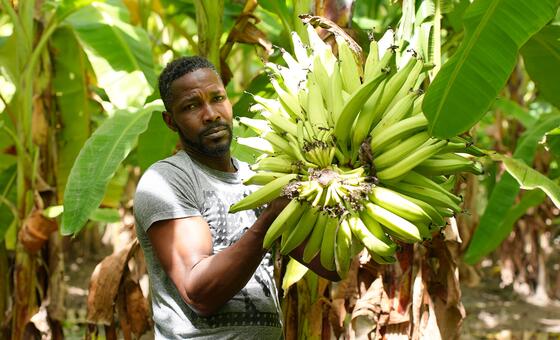 Shockwaves of Middle East war reach Caribbean as food prices soar