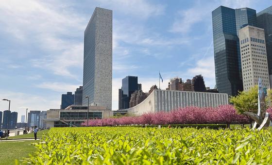 Secretary-General hopefuls make their case in televised ‘interactive dialogues’