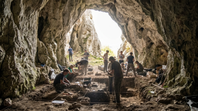 80,000-year-old DNA from Stajnia Cave reveals the oldest Neanderthal group in Central-Eastern Europe |