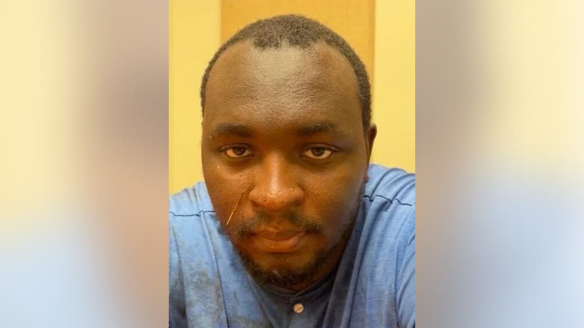 Florida man charged with murder over random stabbing of dog walker